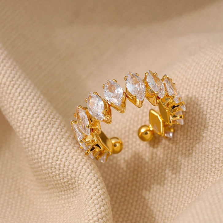 Diamonds Are Forever Ring closeup