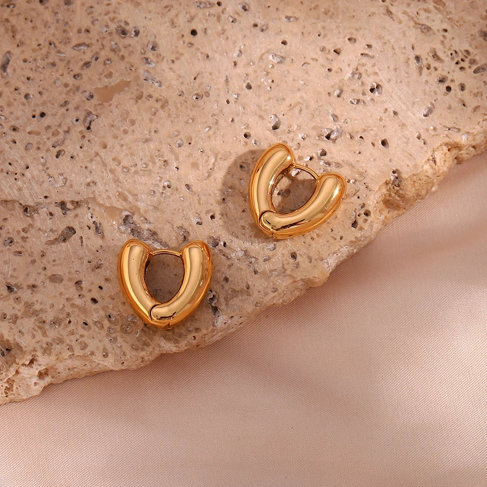 Chunky Chic Hoops Earrings