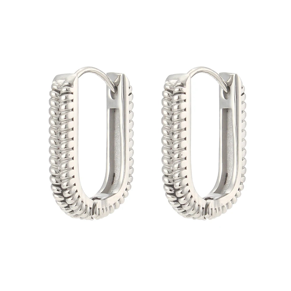 Terra Hoops Earrings in silver on white background