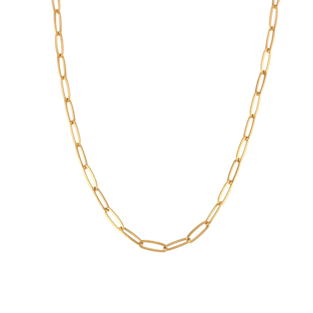 Gold link chain necklace on a white background