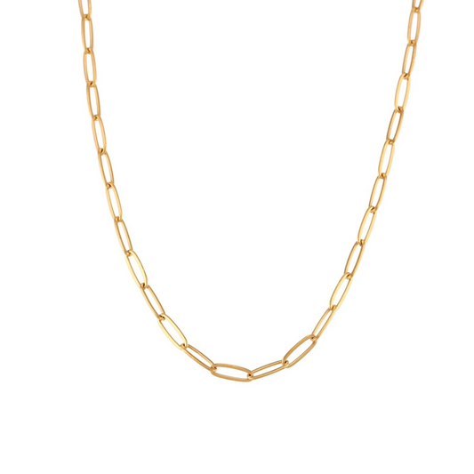 Gold link chain necklace on a white background