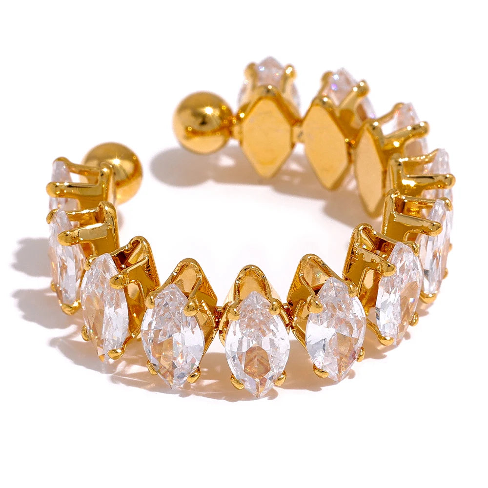 Diamonds Are Forever Ring on white background