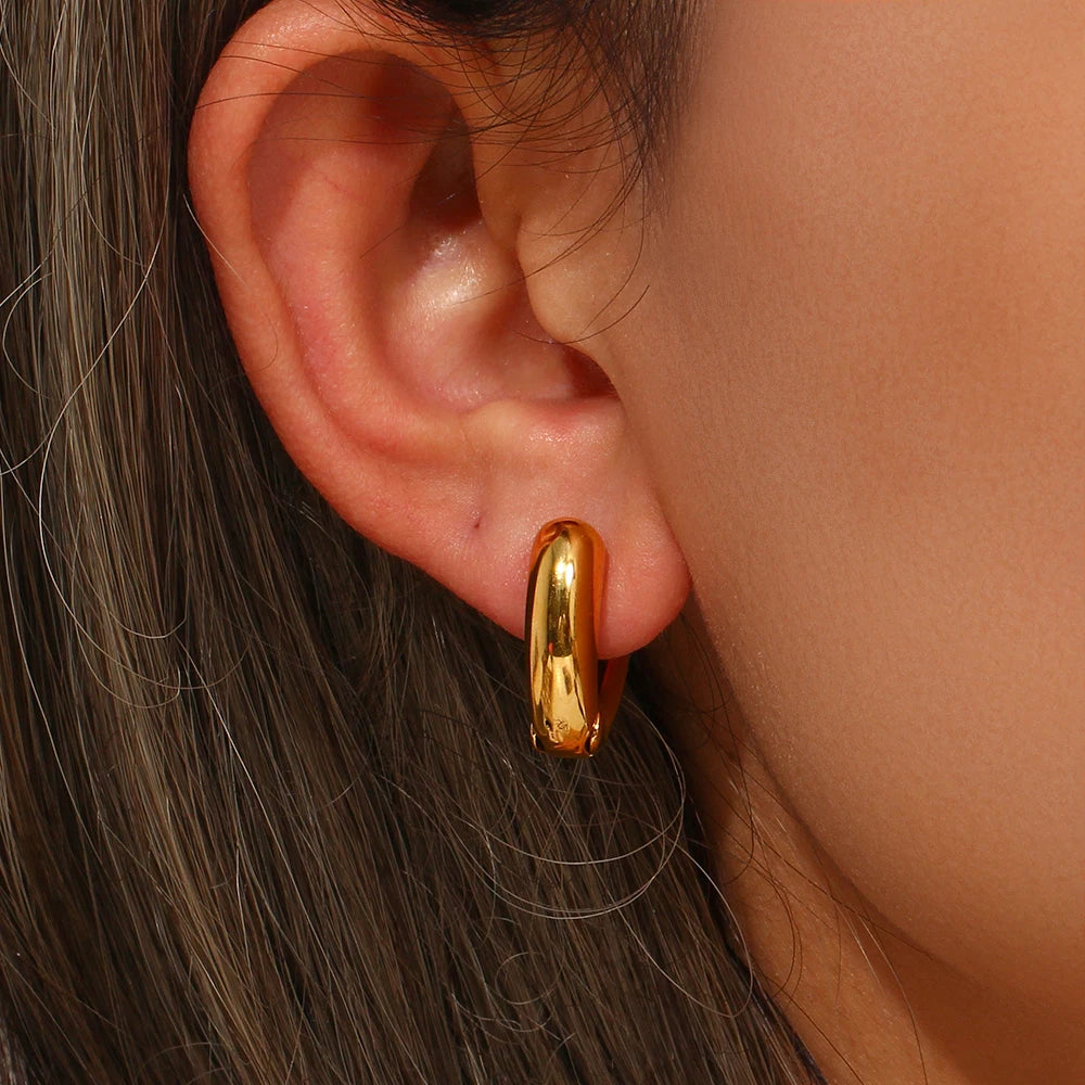 Chunky Chic Hoops Earrings