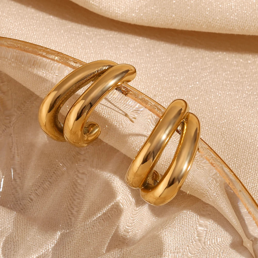Double Class Hoops Earrings