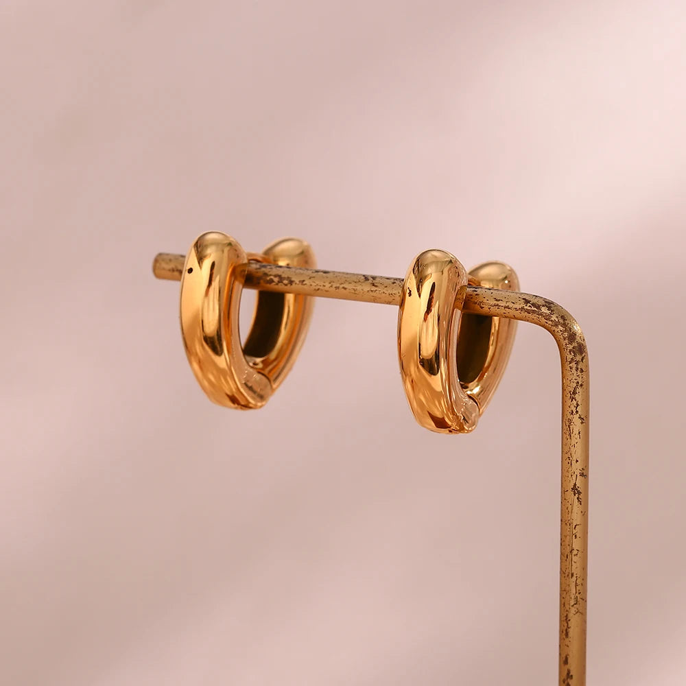 Chunky Chic Hoops Earrings