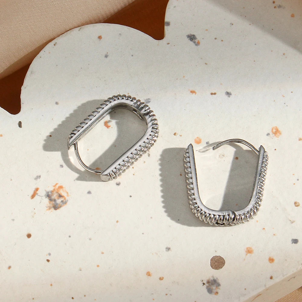 Terra Hoops Earrings flat lay in silver